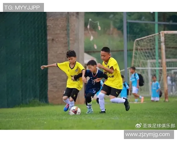 众星闪耀绿茵情深以足球为纽带定格荣耀瞬间 众星闪耀绿茵情深以足球为纽带定格荣耀瞬间