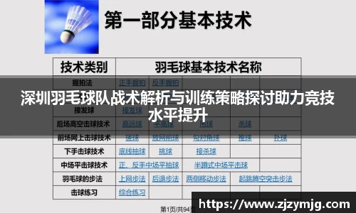 深圳羽毛球队战术解析与训练策略探讨助力竞技水平提升